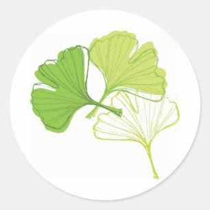Ginkgo Leaf Ronde Sticker