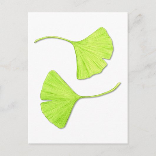 Ginkgo Leaves Botanical Art Briefkaart (Voorkant)