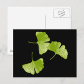 Ginkgo Leaves Briefkaart (Voorkant / Achterkant)