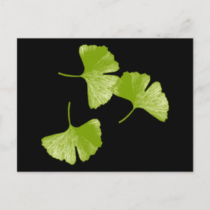 Ginkgo Leaves Briefkaart