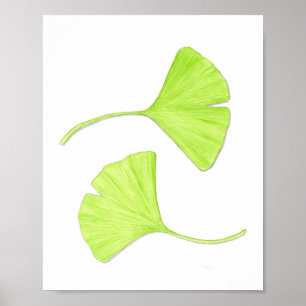 Ginkgo Leaves Fine Art Print