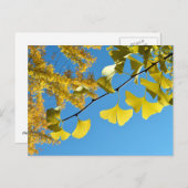 Ginkgo Leaves in de herfst Briefkaart (Voorkant / Achterkant)