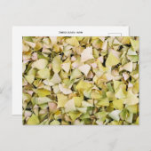 Ginkgo Leaves: Japan Briefkaart (Voorkant / Achterkant)