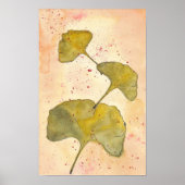 Ginkgo Leaves Poster (Voorkant)