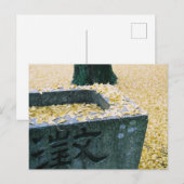 Ginkgo Leaves: Saijo, Japan Briefkaart (Voorkant / Achterkant)