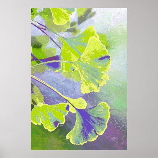 Ginkgo Print (Voorkant)