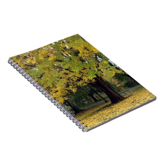 Ginkgo Tree in de Herfst Notitieboek (Rechterzijde)