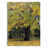 Ginkgo Tree in de Herfst Notitieboek (Voorkant)