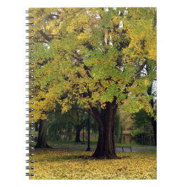Ginkgo Tree in de Herfst Notitieboek