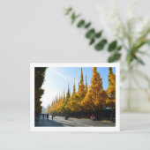 Ginkgo Trees, Icho Namiki Avenue: Tokio Briefkaart (Staand voorkant)