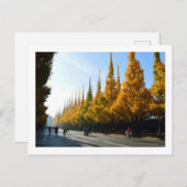 Ginkgo Trees, Icho Namiki Avenue: Tokio Briefkaart (Voorkant / Achterkant)