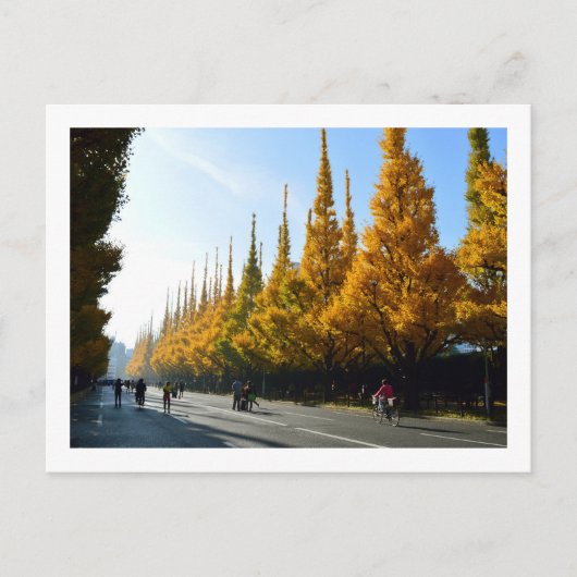 Ginkgo Trees, Icho Namiki Avenue: Tokio Briefkaart (Voorkant)