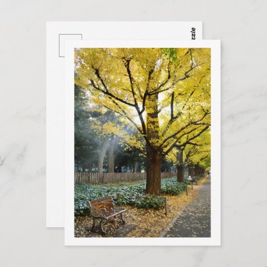 Ginkgo Trees: Meiji Jingu Gaien, Tokio Briefkaart (Voorkant / Achterkant)