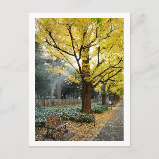 Ginkgo Trees: Meiji Jingu Gaien, Tokio Briefkaart (Voorkant)
