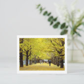 Ginkgo Trees: Showa Kinen Park, Tokio Briefkaart (Staand voorkant)
