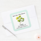 Ginkgo verlaat Square Sticker Product Label (Envelop)