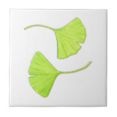 Ginkgo verliest Natuur Art Tegel Tegeltje (Voorkant)