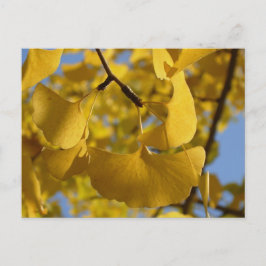 Ginkgobladeren in Kyoto Briefkaart