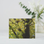 Ginkgoboom in de herfst briefkaart (Staand voorkant)