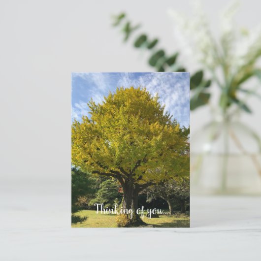 Ginkgoboom van Gulden Geel Briefkaart (Staand voorkant)