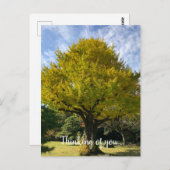 Ginkgoboom van Gulden Geel Briefkaart (Voorkant / Achterkant)