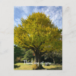 Ginkgoboom van Gulden Geel Briefkaart