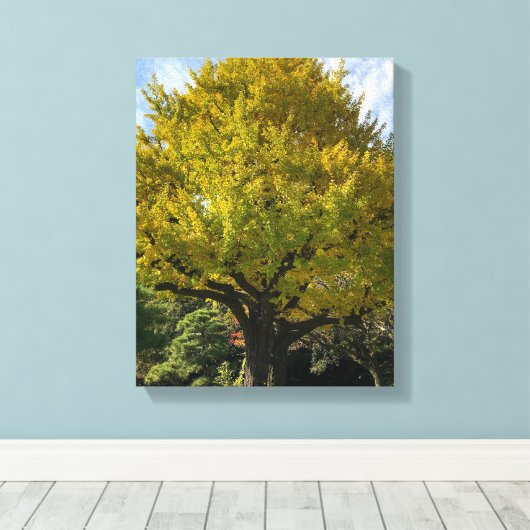 Ginkgoboom van Gulden Geel Canvas Afdruk (Insitu (Houten vloer))