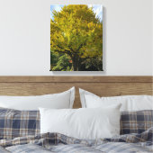 Ginkgoboom van Gulden Geel Canvas Afdruk (Insitu (Slaapkamer))