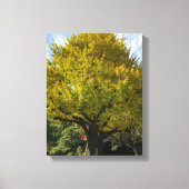 Ginkgoboom van Gulden Geel Canvas Afdruk (Voorkant)
