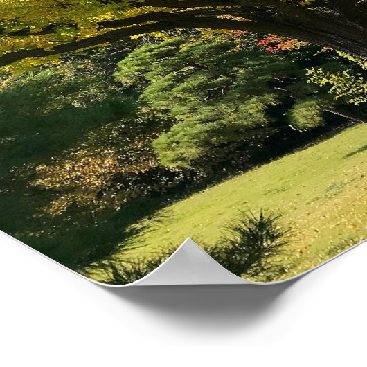 Ginkgoboom van Gulden Geel Poster (Hoek)