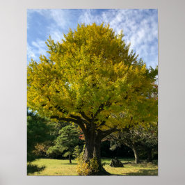 Ginkgoboom van Gulden Geel Poster