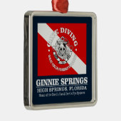 Ginnie Springs (best caves) Metalen Ornament (Rechts)