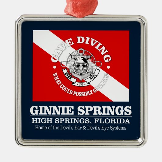 Ginnie Springs (best caves) Metalen Ornament (Voorkant)