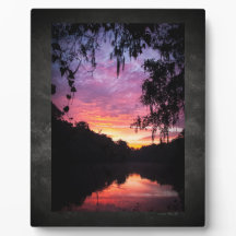 Ginnie Springs Sunrise Acrylwand Art