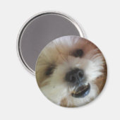 Ginny Pop Magnet (Voorkant / Achterkant)