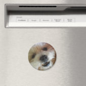 Ginny Pop Magnet (Insitu (Vaatwasser))