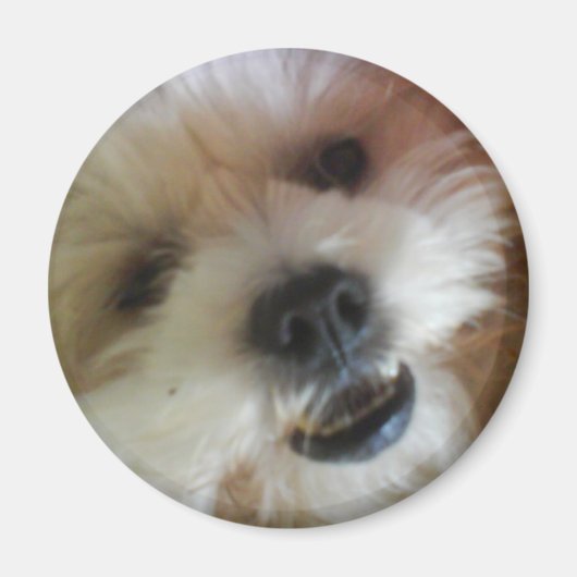 Ginny Pop Magnet (Voorkant)