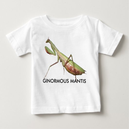 ginormale mantis (Voorkant)