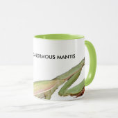 GINORMOUS MANTIS MOK (Voorkant rechts)