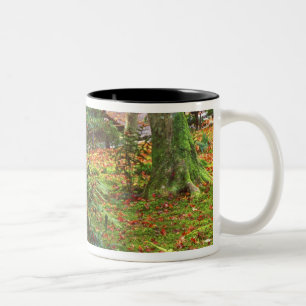 Giohji Temple, Arashiyama, Kyoto, Japan Tweekleurige Koffiemok