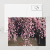 Gion, Kyoto prefectuur, Japan Briefkaart (Voorkant / Achterkant)