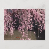 Gion, Kyoto prefectuur, Japan Briefkaart (Voorkant)