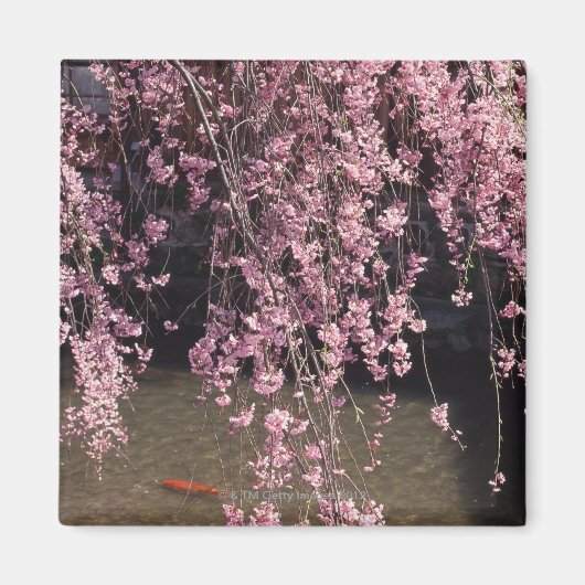 Gion, Kyoto prefectuur, Japan Magneet (Voorkant)