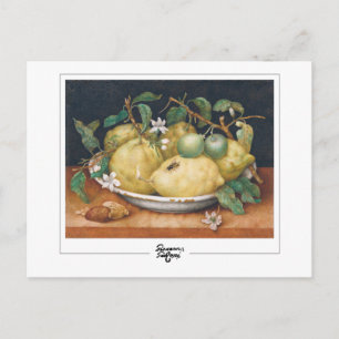 Giovanna Garzoni #4 - Fine Art Briefkaart