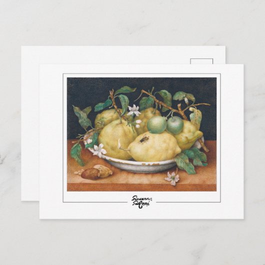 Giovanna Garzoni #4 - Kunstkaart Briefkaart (Voorkant / Achterkant)