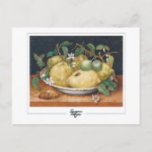 Giovanna Garzoni #4 - Kunstkaart Briefkaart (Voorkant)