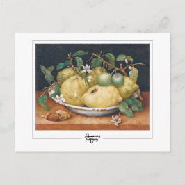 Giovanna Garzoni #4 - Kunstkaart Briefkaart