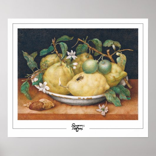 Giovanna Garzoni Zedign Art Poster #4 (Voorkant)