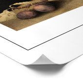 Giovanna Garzoni Zedign Art Poster 8 (Hoek)