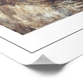 Giovanni Boldini Zedign Art Poster #14 (Hoek)